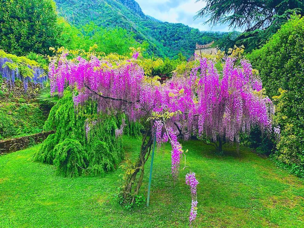 Il Piccolo Paradiso Серавецца Экстерьер фото